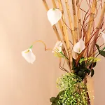 Ottoulivi Bed and Breakfast Sardara