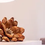 Ottoulivi Sardara