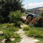 Ottoulivi 3*