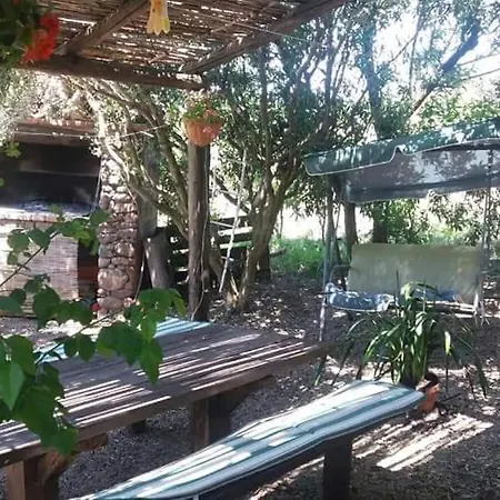 Ottoulivi 3* Sardara