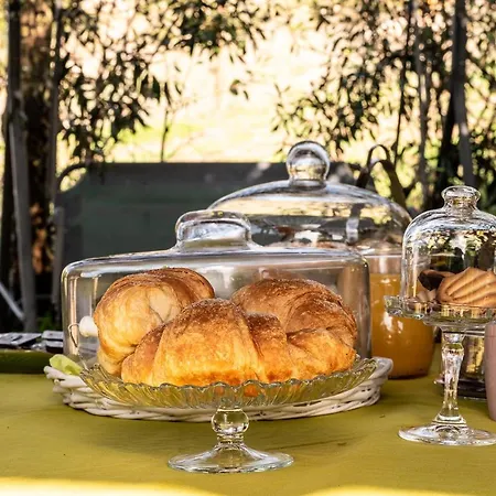 Ottoulivi Сардара