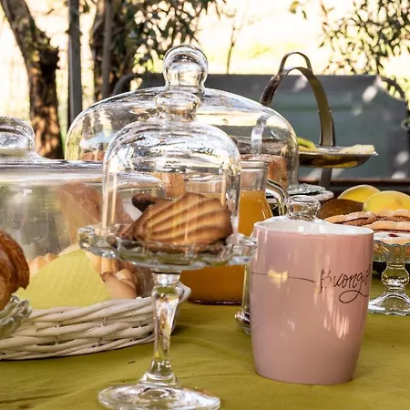 Bed & Breakfast Ottoulivi