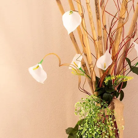 Ottoulivi Отель типа 