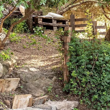 Ottoulivi 3* Сардара