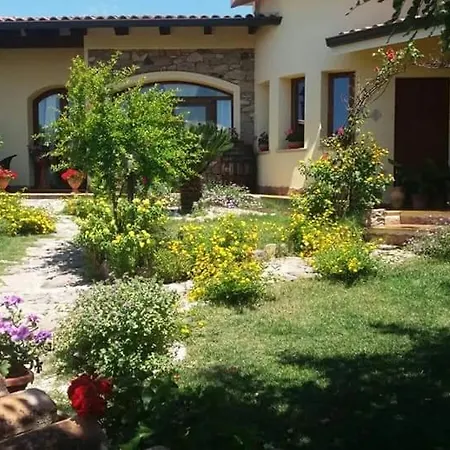 Bed & Breakfast Ottoulivi