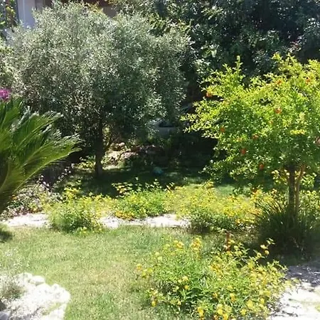 Ottoulivi Bed & Breakfast *
