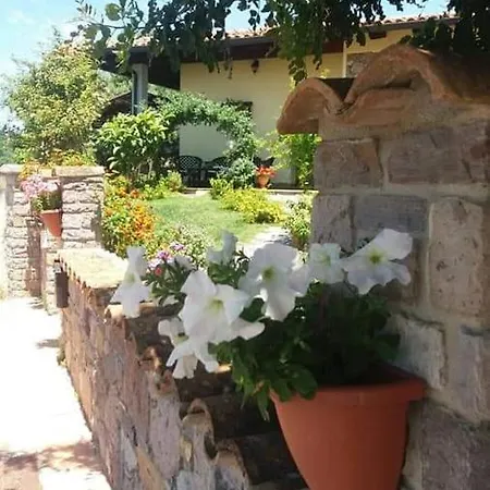 Ottoulivi 3*