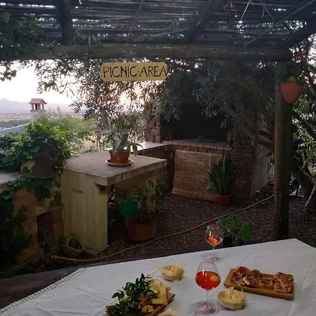 Ottoulivi Bed & Breakfast *