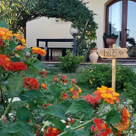 Bed & Breakfast Ottoulivi Sardara