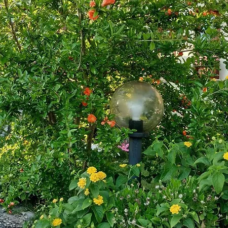 Ottoulivi Bed & Breakfast 3*