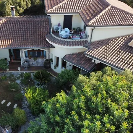 Ottoulivi 3* Сардара