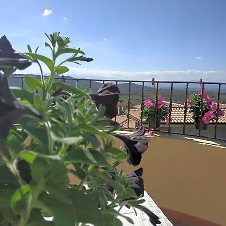 Bed and Breakfast Ottoulivi