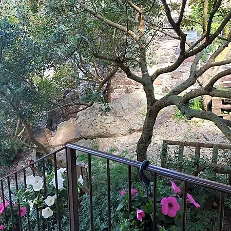 Ottoulivi Bed and Breakfast