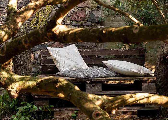 Ottoulivi Bed & Breakfast Sardara