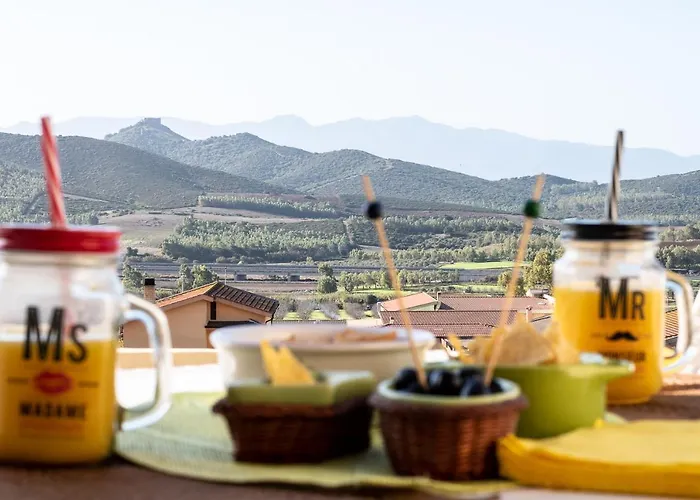 Ottoulivi Bed & Breakfast Sardara