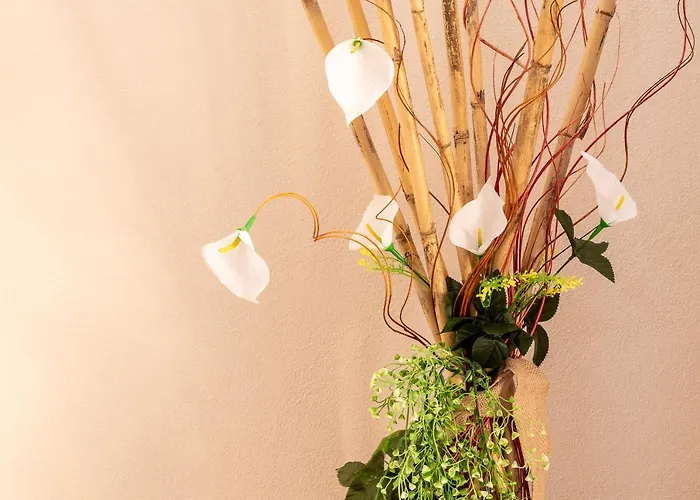 Ottoulivi Bed & Breakfast Sardara