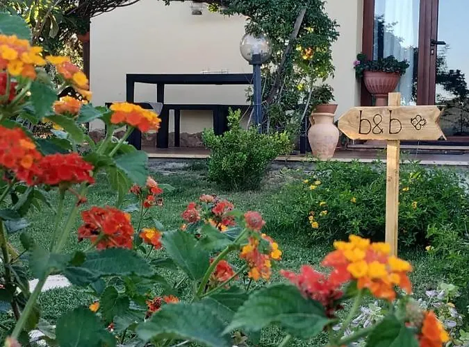 Bed & Breakfast Ottoulivi Sardara
