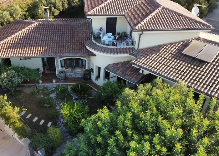 Ottoulivi 3* Sardara